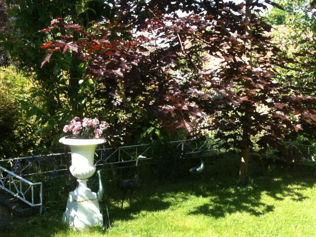 Charlemont House Moy Bed and Breakfast Buitenkant foto
