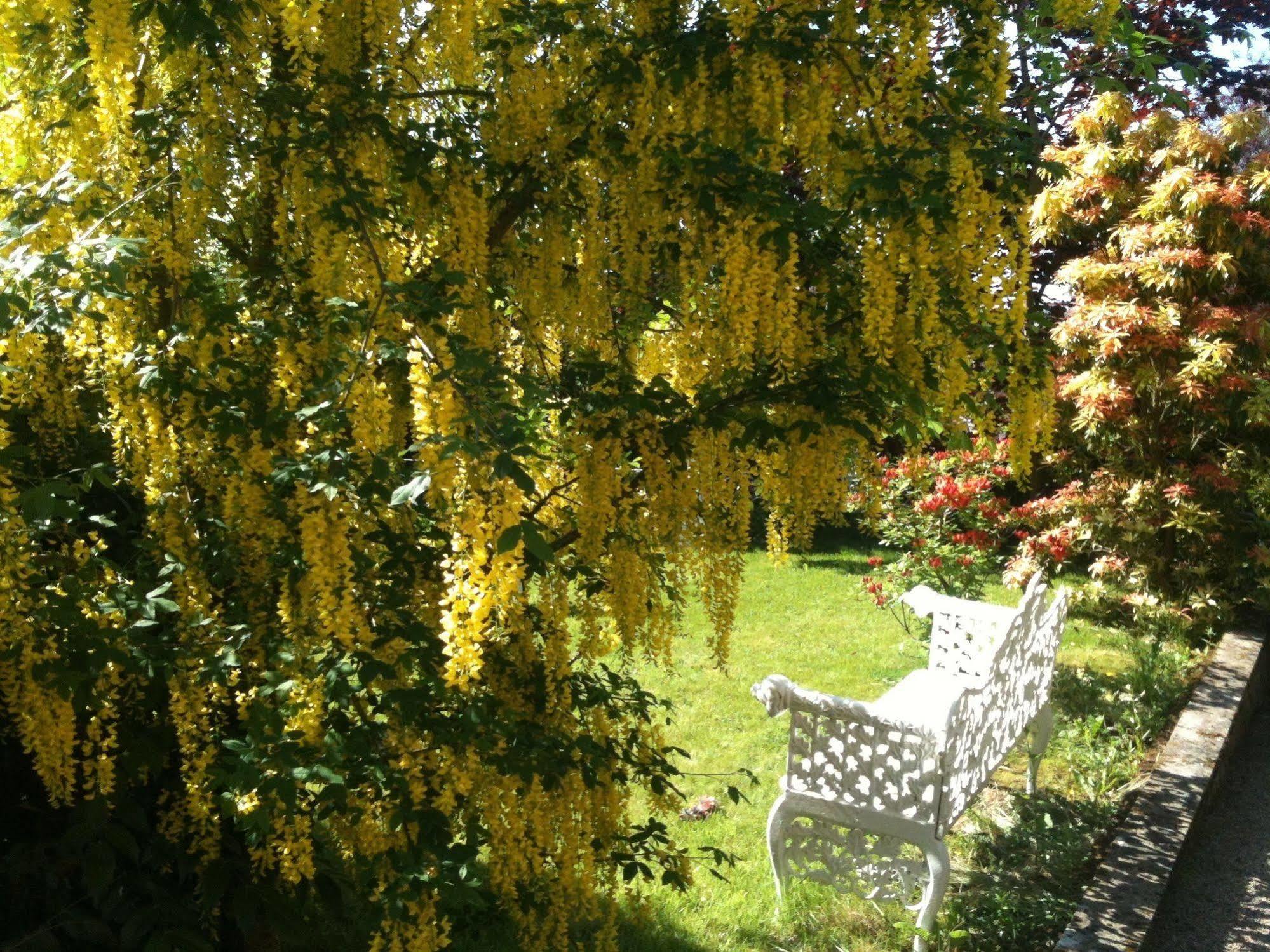 Charlemont House Moy Bed and Breakfast Buitenkant foto